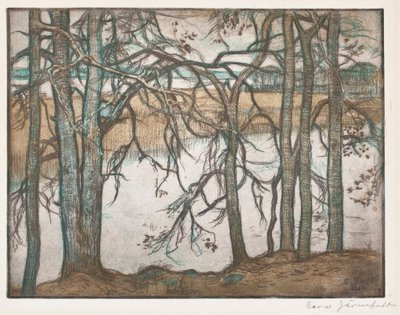  door Eero Järnefelt