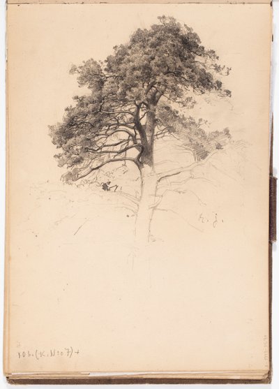  door Eero Järnefelt