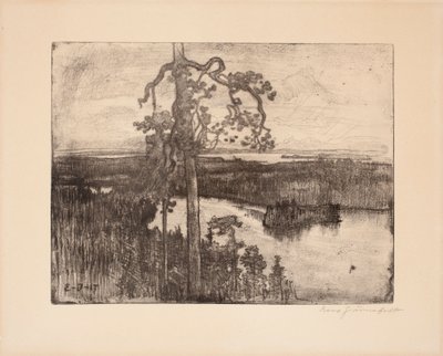  door Eero Järnefelt