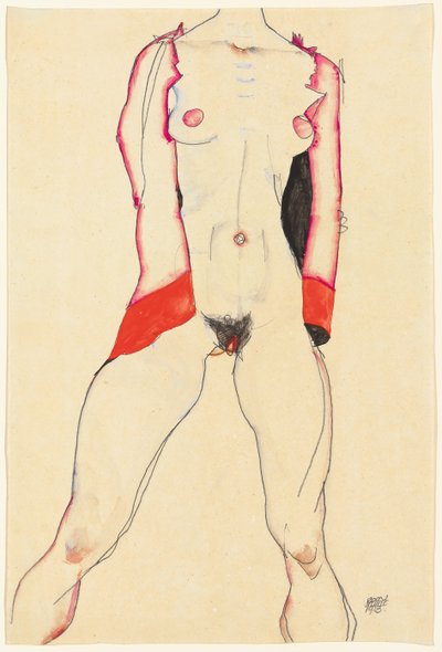 Vrouwelijke Torso door Egon Schiele