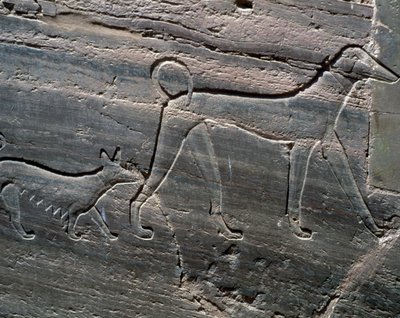 Koppel honden, reliëf van ingang, Graf van Sarenput II, Graven van Prinsen, Qubbet el-Hawa, westelijke oever van de Nijl bij Aswan, Egyptische beschaving, Middenrijk, Dynastie XII door Egyptian 12th Dynasty