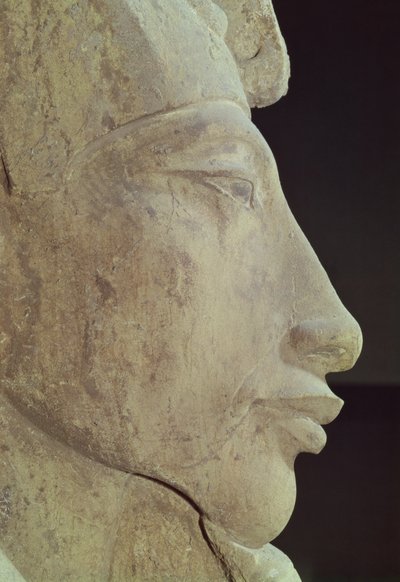 Buste van Amenophis IV (Akhenaten) (detail) door Egyptian 18th Dynasty