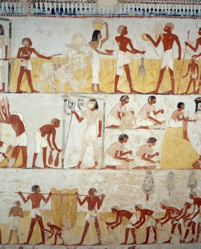 Oogsten van gewassen, dorsen en wannen van graan, detail van fresco