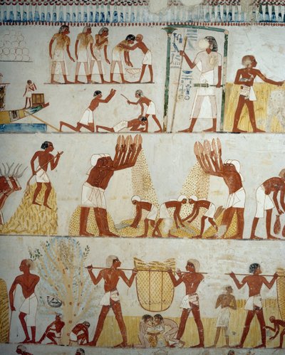 Oogsten van gewassen, dorsen en wannen van graan (detail) door Egyptian 18th Dynasty