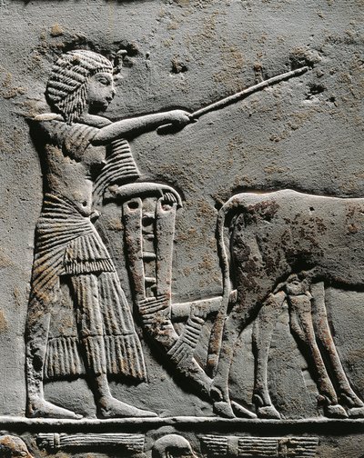 Horemheb ploegt land in de Velden van Iaru, reliëf uit het graf van Horemheb in Saqqara (detail) door Egyptian 18th Dynasty