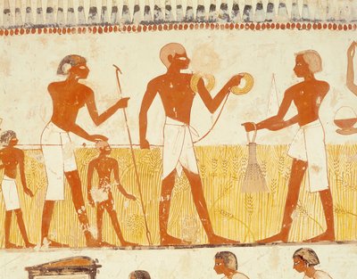 Het land meten met een touw, uit de grafkapel van Menna, Nieuwe Rijk door Egyptian 18th Dynasty