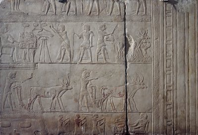 Farao Horemheb, afgebeeld terwijl hij landbouwarbeid verricht in de velden van Iaru, ontvangt oogst aangeboden door boeren, kalkstenen muur reliëf, uit Memphitisch Graf van Horemheb in Saqqara, Egyptische beschaving, Nieuwe Rijk, Dynastie XVIII door Egyptian 18th Dynasty