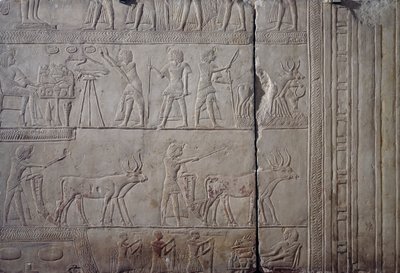 Farao Horemheb, afgebeeld tijdens landbouwarbeid in de velden van Iaru, ontvangt oogst aangeboden door boeren, kalkstenen muur reliëf, uit het Memphitische graf van Horemheb in Saqqara, Egyptische beschaving, Nieuwe Rijk, Dynastie XVIII door Egyptian 18th Dynasty