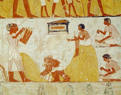 Het oogsten vastleggen, uit het graf van Menna (muurschildering) door Egyptian 18th Dynasty