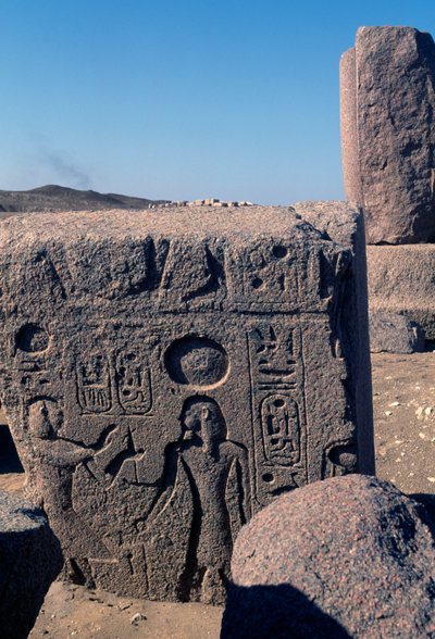 Blok met reliëfs en inscripties van Ramses II, Grote Tempel van Amon, Tanis, Egypte, Nieuwe Rijk, Dynastie XIX door Egyptian 19th Dynasty