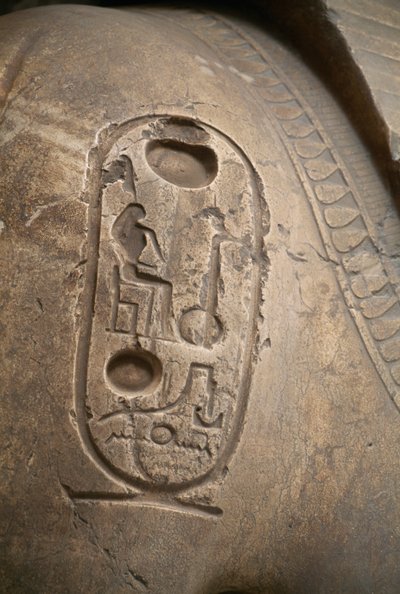 Cartouche op arm, gravure van Colossus van Ramses II, Memphis door Egyptian 19th Dynasty