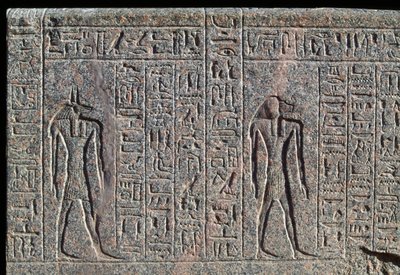 Afbeelding van Anubis, detail van inscriptie en reliëf van Anubis en een andere god, sarcofaag van Amenhotep, Memphis, Egypte, Nieuwe Koninkrijk, Dynastie XIX door Egyptian 19th Dynasty