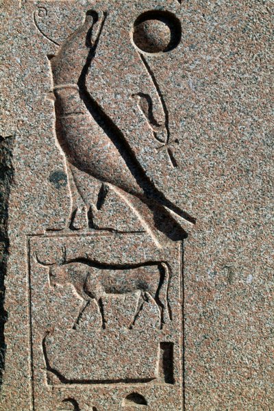 Hiëroglief met de naam van Horus, Grote Tempel van Amon, Tanis, Egypte, Nieuwe Koninkrijk, Dynastie XIX door Egyptian 19th Dynasty