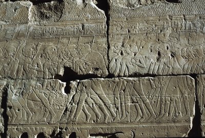 Reliëf, Tempel van Amon, Luxor, oud Thebe (UNESCO Werelderfgoedlijst) door Egyptian 19th Dynasty