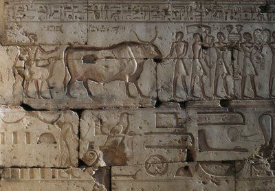 Reliëf, Tempel van Ramses II, Abydos, Egypte, Egyptische beschaving, Nieuwe Rijk, Dynastie XIX (foto) door Egyptian 19th Dynasty