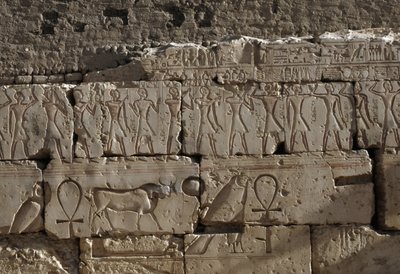 Reliëf, Tempel van Ramses II, Abydos, Egypte, Egyptische beschaving, Nieuwe Rijk, Dynastie XIX (foto) door Egyptian 19th Dynasty