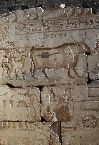 Reliëf, Tempel van Ramses II, Abydos, Egypte, Egyptische beschaving, Nieuwe Rijk, Dynastie XIX door Egyptian 19th Dynasty