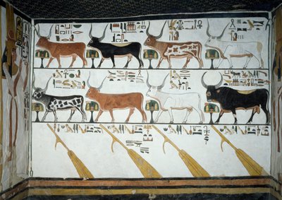 Zeven hemelse koeien, stier en vier roerbladen, hoofdstuk 148 van het Dodenboek (detail) door Egyptian 19th Dynasty