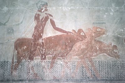 Vee dat een kanaal oversteekt in de Mastaba-kapel van Ti door Egyptian 5th Dynasty