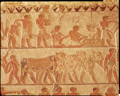 Geschilderd reliëf met het posten van belastingen en een groep vee, Oude Koninkrijk door Egyptian 5th Dynasty