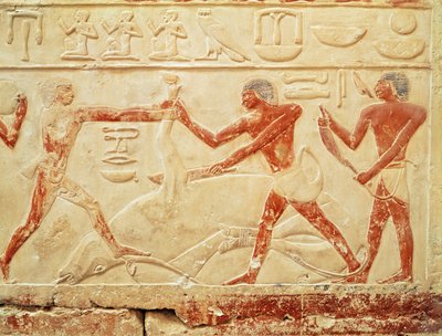Slagers die een os slachten, reliëf uit het Graf van Prinses Idut, Oude Rijk, c.2330 v.Chr. door Egyptian 6th Dynasty
