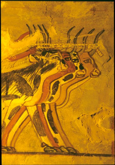 Oud Egypte, Muurschildering, Graf van Sennufer, Graf van de Edelen, Thebe door Egyptian Egyptian