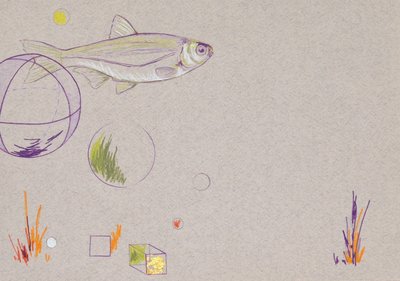 Drijven, 2014 (aquarelpotlood en bladgoud op papier) door Eleanor Grafton