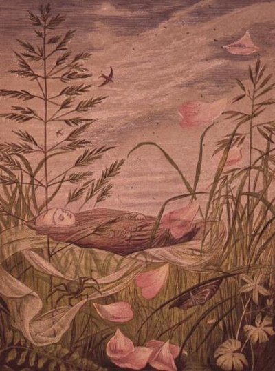 Wanneer de lente begint door Eleanor Vere Boyle