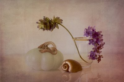  door Elena Arjona