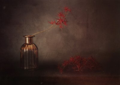  door Elena Arjona