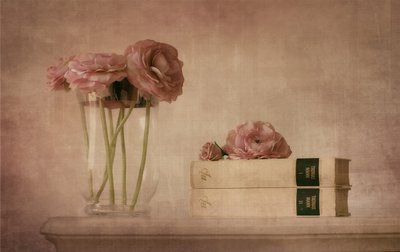  door Elena Arjona