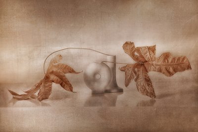 Vintage herfstreflectie door Elena Arjona
