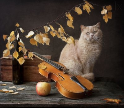 Herfstkat en viool door Eleonora Grigorjeva