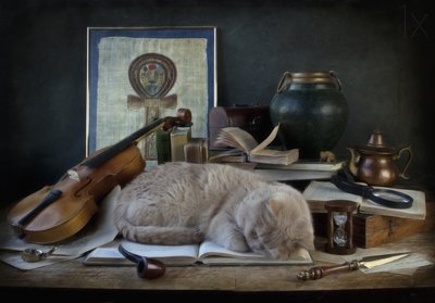 De studeerkamer van de slapende kat door Eleonora Grigorjeva