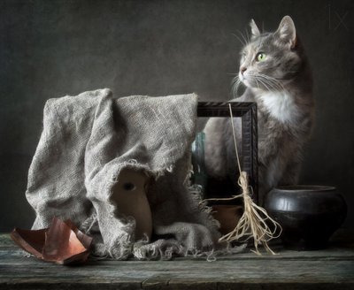 Vintage stilleven met kat door Eleonora Grigorjeva