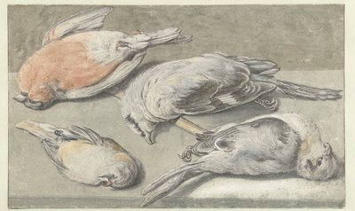 Stilleven met vier dode vogels door Elias Vonck