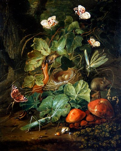Een bosbodem stilleven met fruit en vlinders door Elias van den Broeck