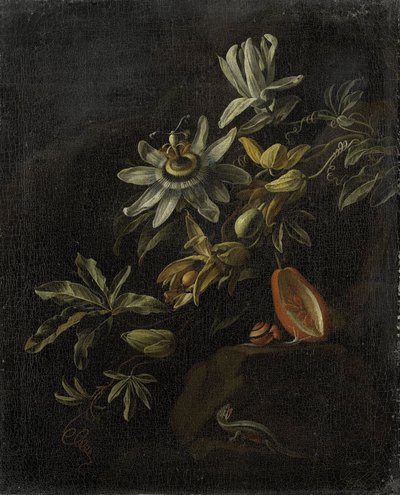 Stilleven met passiebloemen door Elias van den Broeck