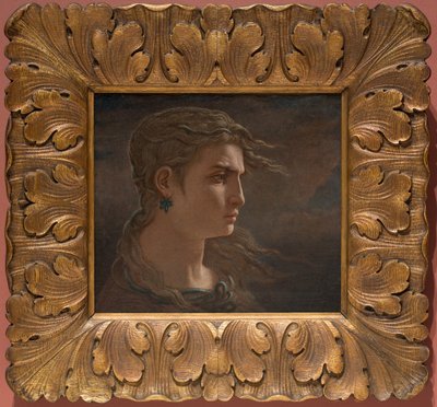 Hoofd van Medusa door Elihu Vedder