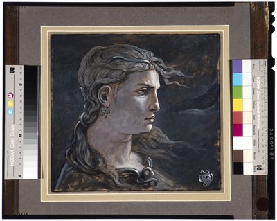 Hoofd van Medusa, 1878 door Elihu Vedder