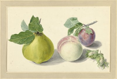 Een peer, perzik, pruim en noten door Elisabeth Geertruida van de Kasteele