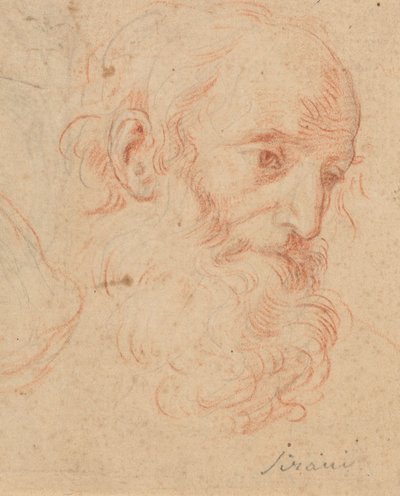  door Elisabetta Sirani