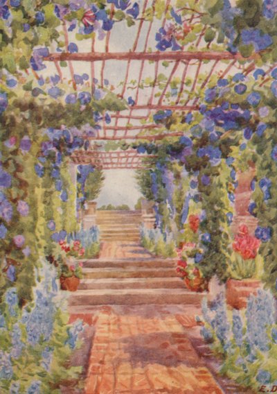 Pergola bedekt met blauwe Ipomoea Learii de Grendel, Tygerberg (kleurenlitho) door Elizabeth Drake