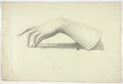 Linker onderarm en hand door Elizabeth Murray
