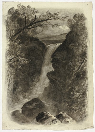 Bergwaterval door Elizabeth Murray