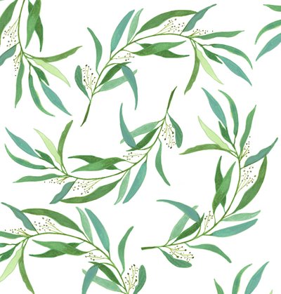 Eucalyptusbladeren, 2018 (aquarel en acryl) door Elizabeth Rider