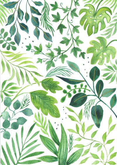 Leafy Medley, 2018 (aquarel) door Elizabeth Rider