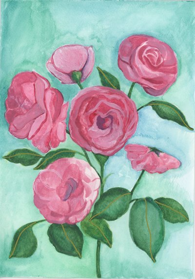 Roze rozen, 2017 (aquarel) door Elizabeth Rider