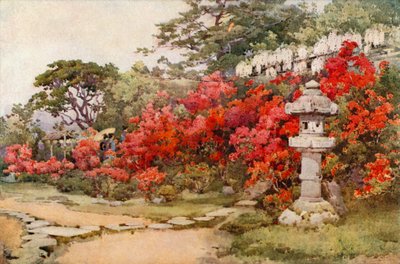 Azalea