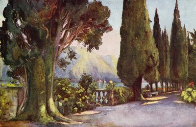 Cypress Avenue, Villa del Pizzo, Lago di Como door Ella Du Cane